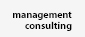 Management Consulting